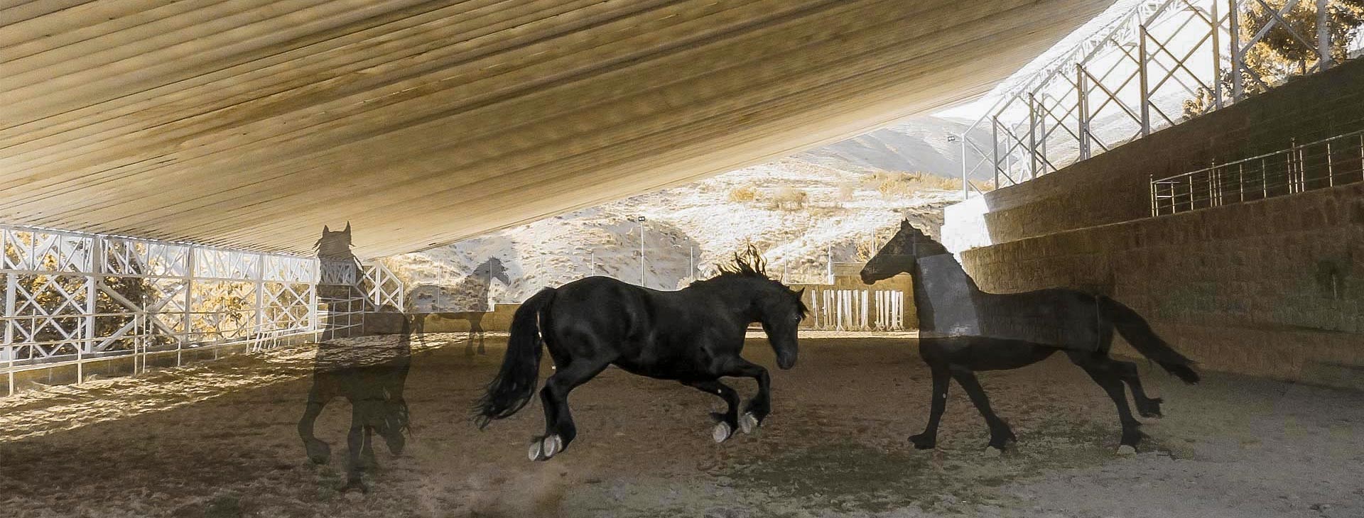 طراحی سازه مانژ اسب سواری