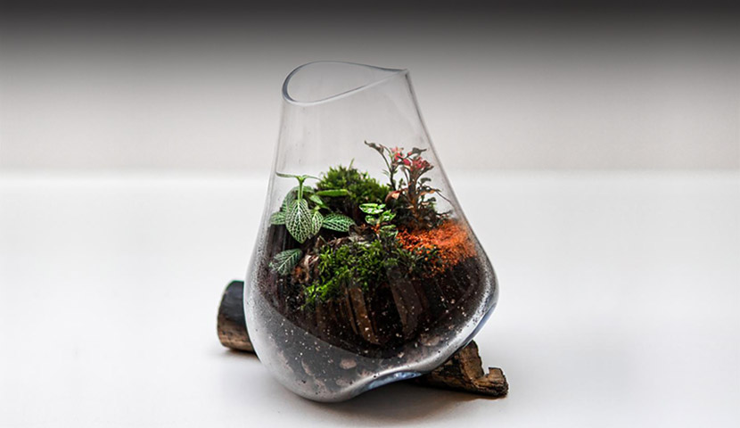 گلدان ترکیب چوب و شیشه