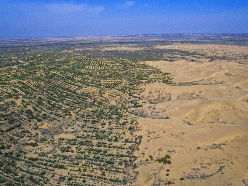 بیابان زدایی