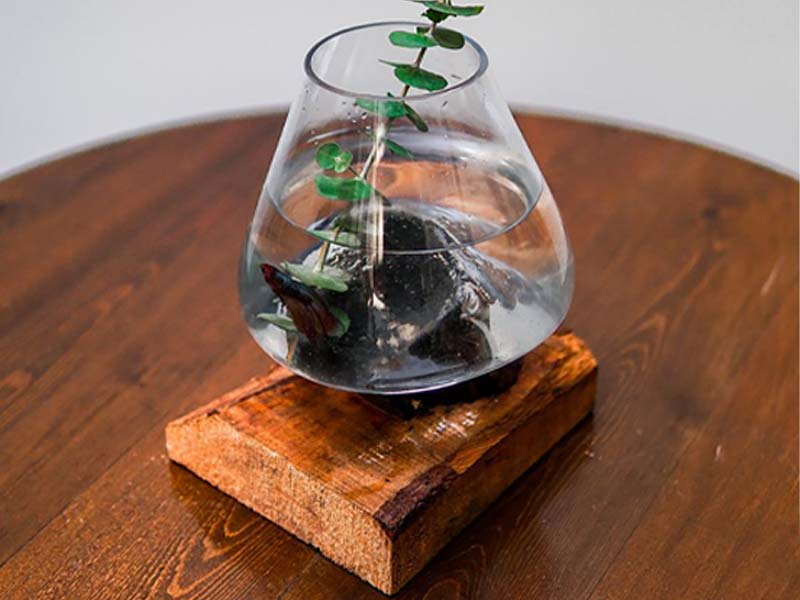 گلدان شیشه ای با پایه پایه چوبی