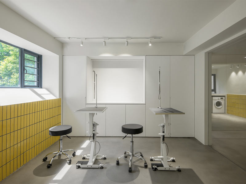 طراحی پت شاپ