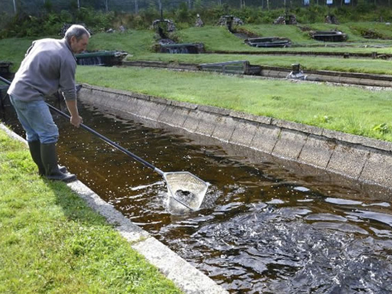 طراحی استخر پرورش ماهی در کانال