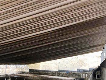 طراحی سازه مانژ اسب سواری