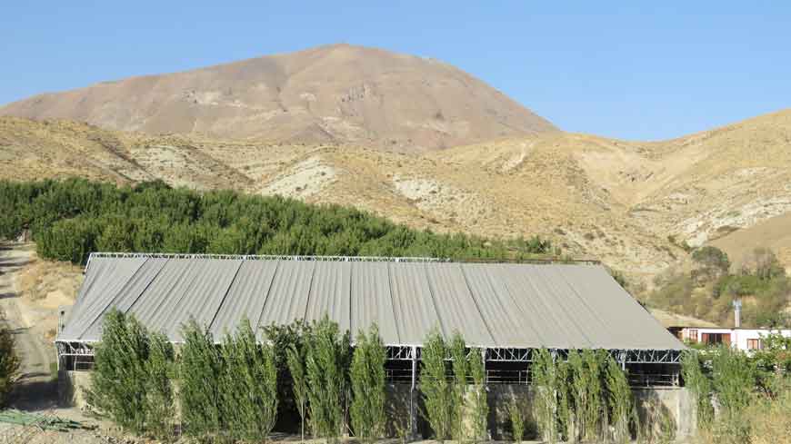 طراحی معماری مانژ اسب سواری لواسان